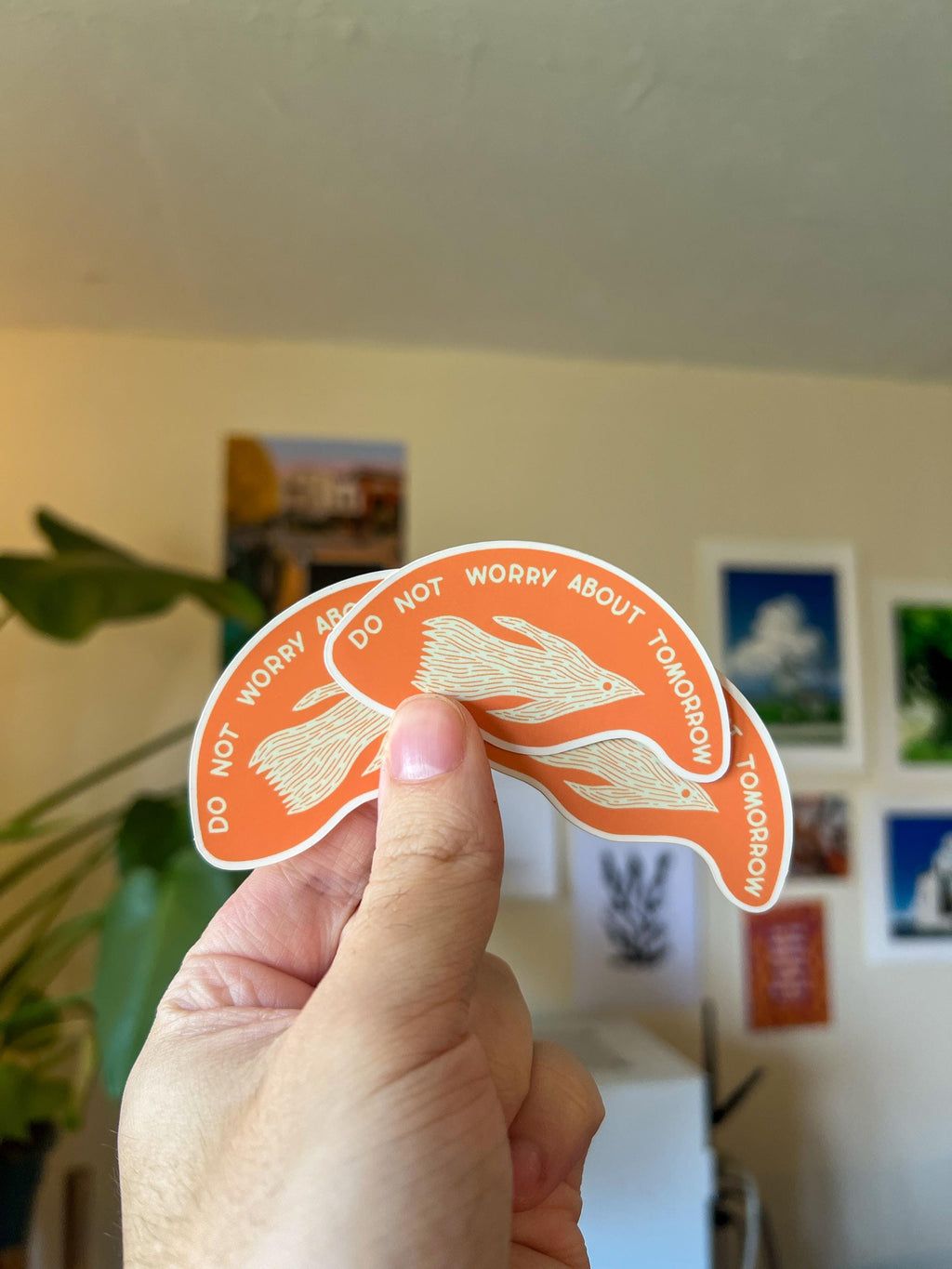 Do Not Worry about tomorrow Sticker