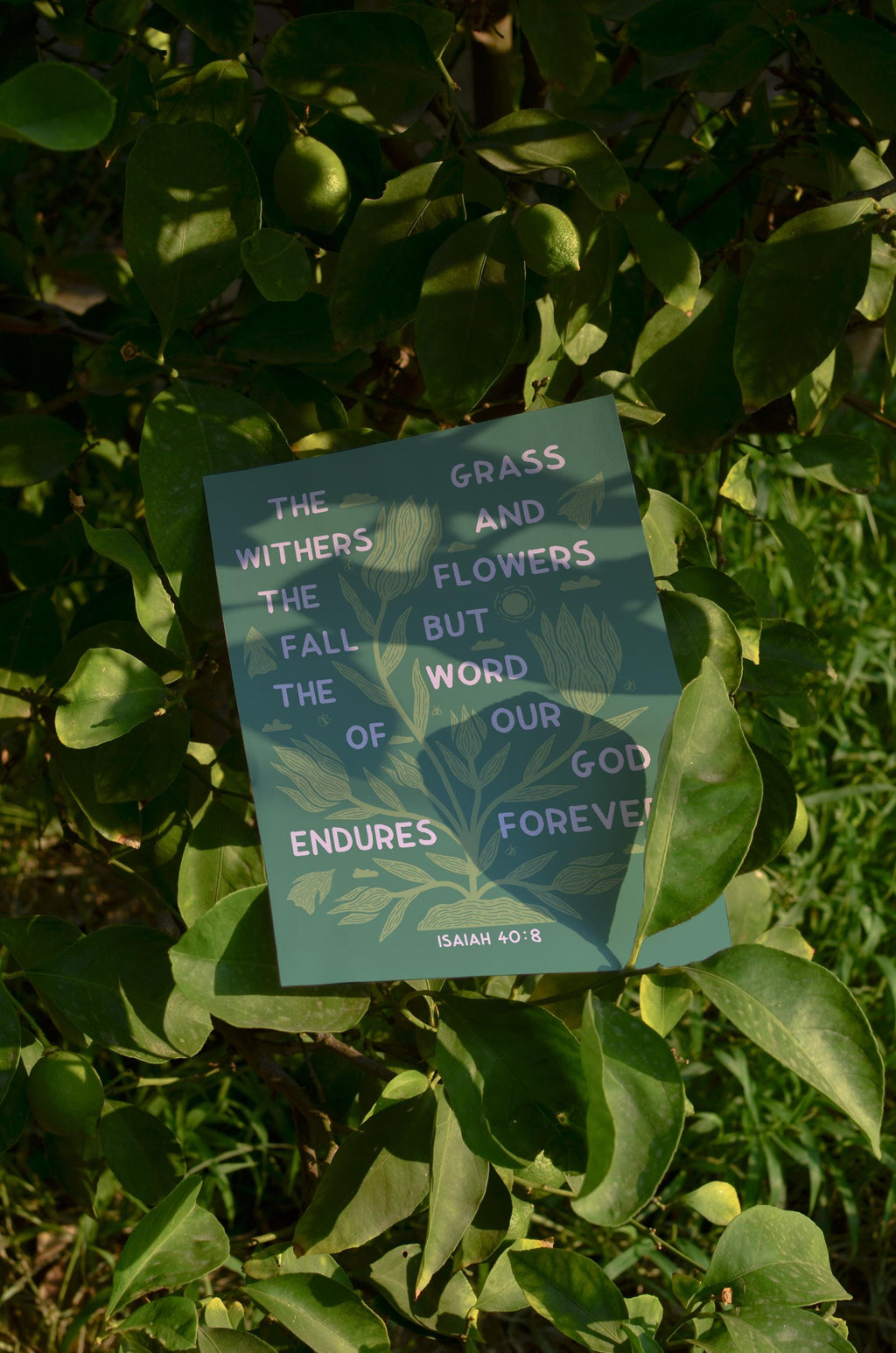The grass withers and the flowers fall Print