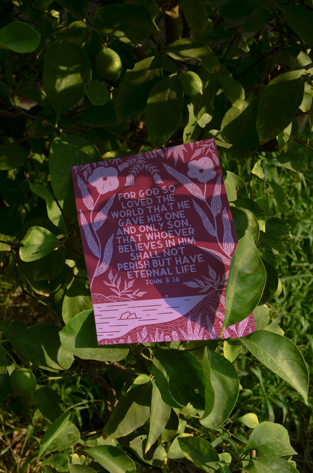 John 3:16 Print